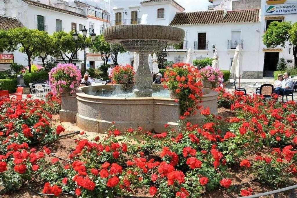 XV Apartamentos Morales & Arnal Эстепона Экстерьер фото